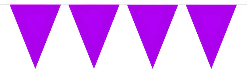 Purple Mini Bunting - 3 meter - Girlang